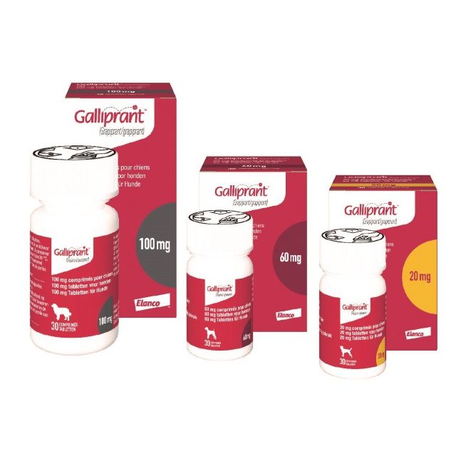 Galliprant