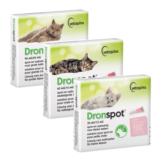 Dronspot