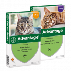 Advantage