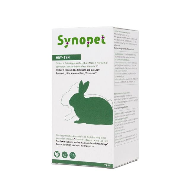 Synopet Ory Syn