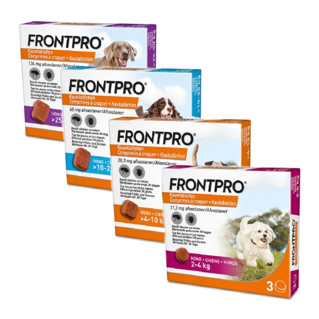Frontpro | Dog