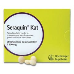 Seraquin cat