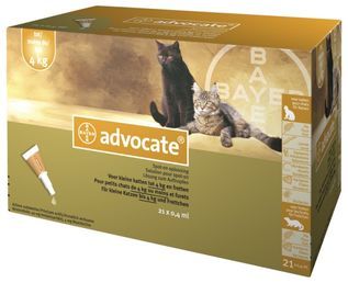 dreng anklageren Ræv Advocate spot-on small cats <4 kg and ferrets 21 pipettes