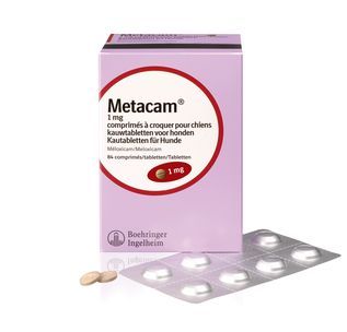 Smelte gen harmonisk Metacam dog 1 mg 84 chewable tablets