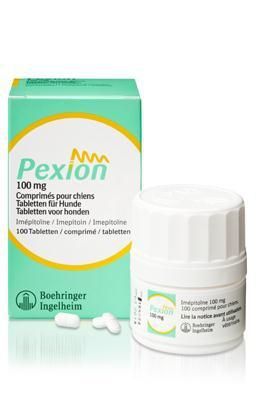 marts Frastøde Dekorative Pexion dog 100 mg 100 tablets