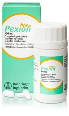 Bukser mosaik lektie Pexion dog 400 mg 100 tablets