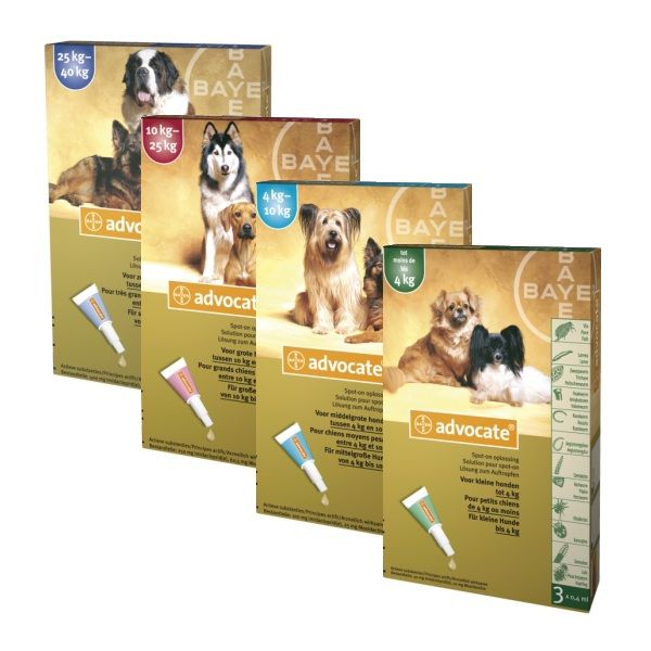 Best price advocate for dogs top