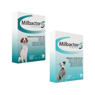 MILBACTOR chat  4 comp. 16/40 mg (2-12 kg) vermifuge - Protection4Pets