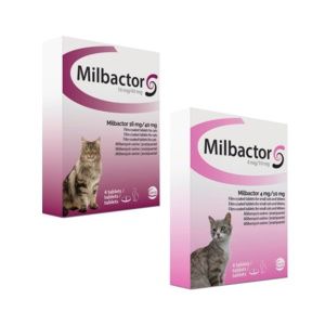 Milbactor Cat