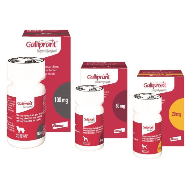 Buy hot sale galliprant 100mg