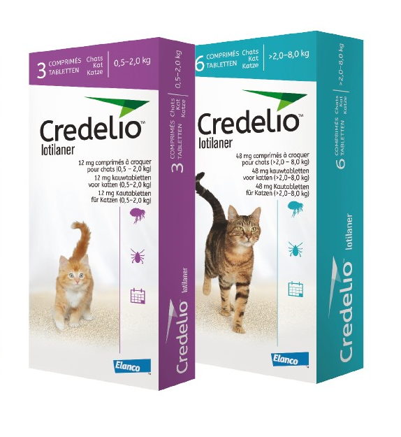 Credelio tablets cats