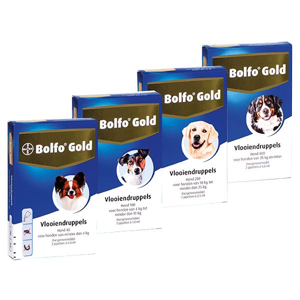 Bolfo