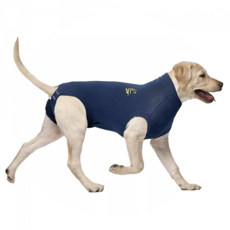 Medical Pet Shirt hond XXL