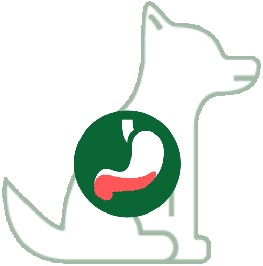Pancreas