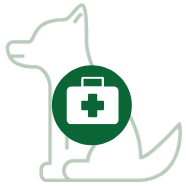 First aid