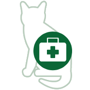First aid