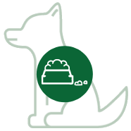Dog food
