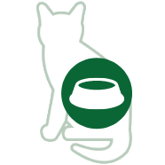 Food and water bowls