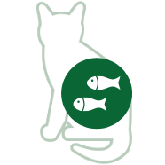 Cat snacks
