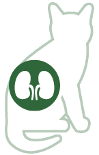 Kidneys | Bladder | Urinary tract