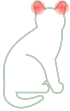 Ears