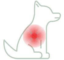Pain | Inflammation