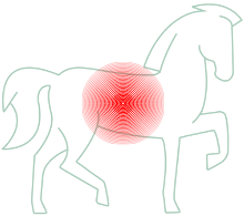 Pain | Inflammation