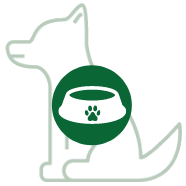 Food and water bowls