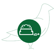 Bird food