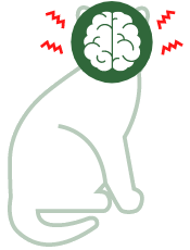 Anxiety | Stress