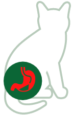 Urinary tract infection