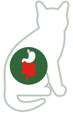 Diarrhea