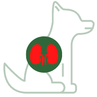 Kidney failure
