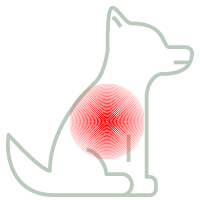 Anti inflammatory