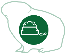Trovet guinea pig food