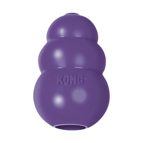 Kong Senior | Paars