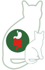 Diarrhea