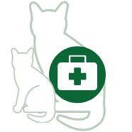 First aid