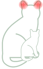 Ears