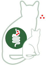 Probiotics