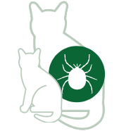 Ticks
