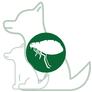 Fleas | Ticks | Insects
